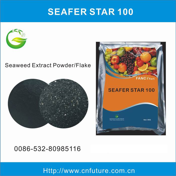 Alga Powder, Kelp Powder Soluble Seaweed Extract