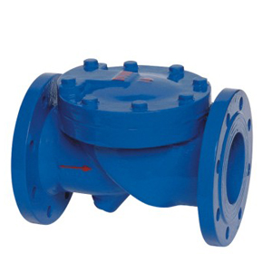 Rubber Disc Check Valve with Flange