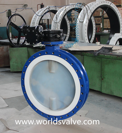 PFA Full Lining Double Flanged Butterfly Valve with Ce ISO Approved (D41F-10/16)