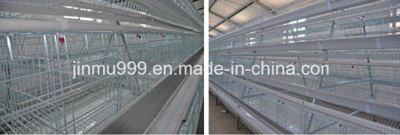 a Type Poultry Equipment Chicken Cage for Layer Broiler