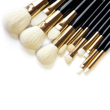 Synthetic and Natural Hair 12PCS OEM Accepted Makeup Brush Set
