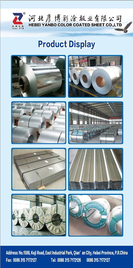 Prepainted Galvanised Steel Coil