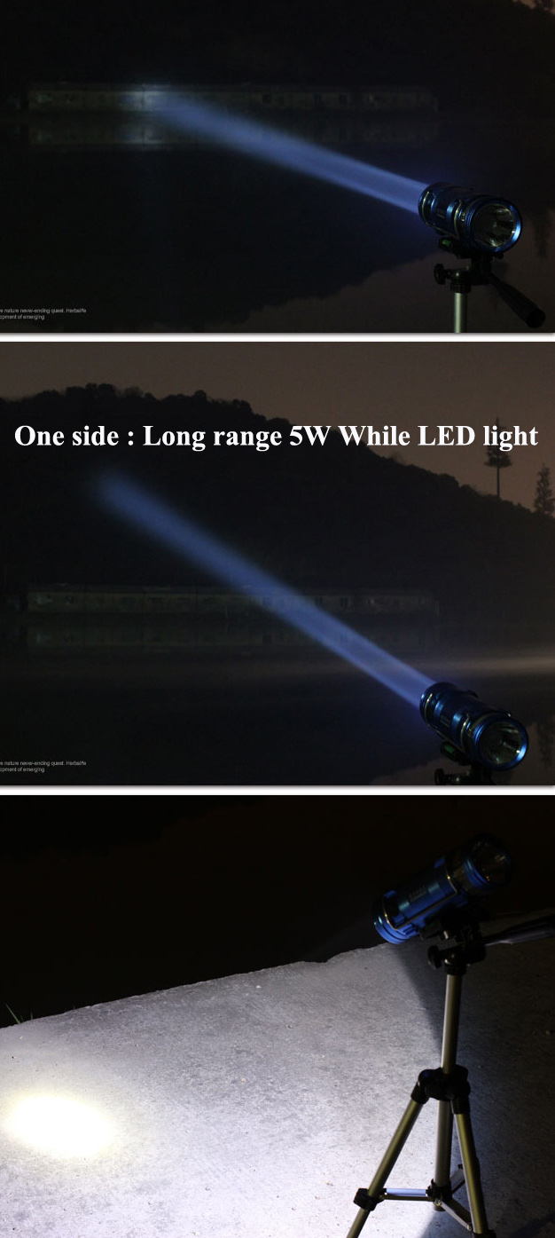 Blue Lumens Fishing Flashlight with Tripod and White LED Light