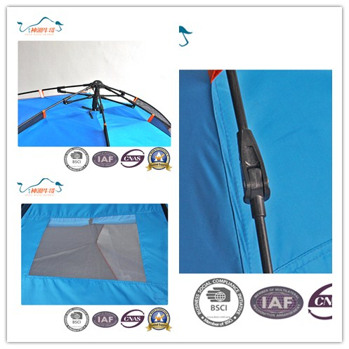 Hot Selling Automatic Camping Tent for Outdoor