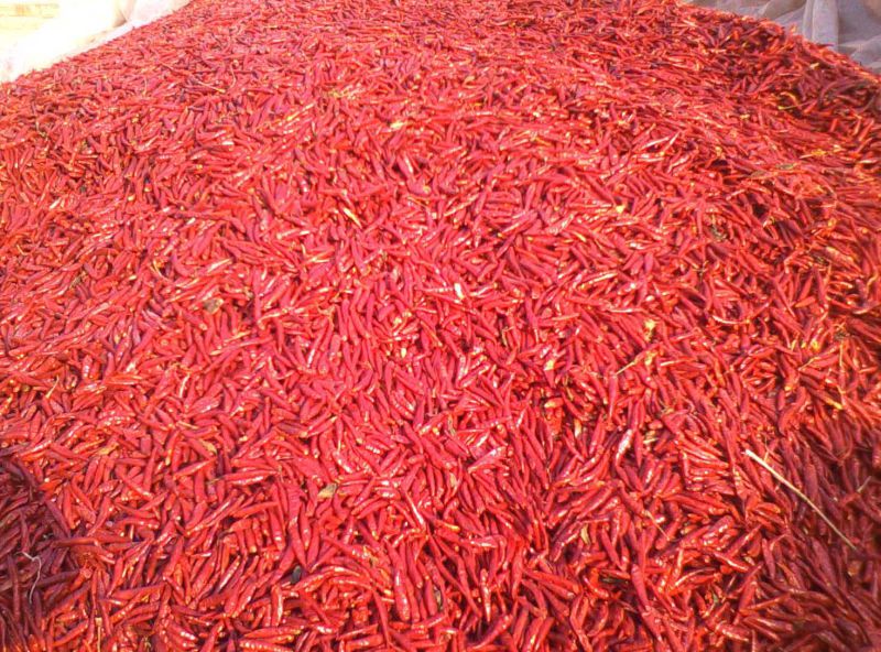 High Quality Dried Red Hot Chilli