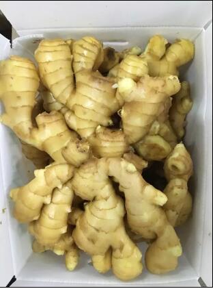 2016 Crop Air Dry Ginger