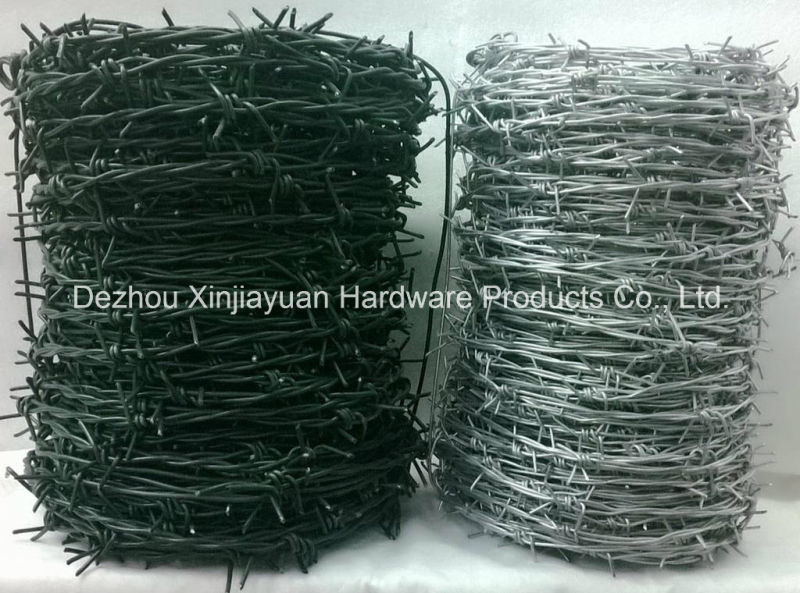 Hot Sale Galvanized or PVC Coated Barbed Wire for Fence