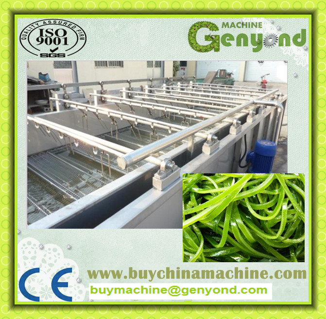 Automatic Washing Machine for Vegetable Processing