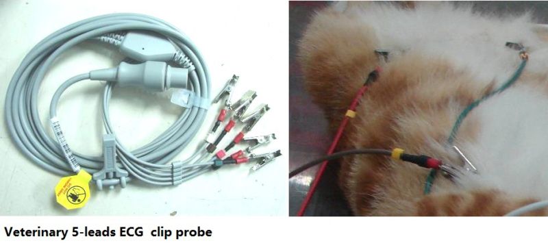 Touchscreen Animal Vet ECG EKG Veterinary Monitor with FDA (V-C50)