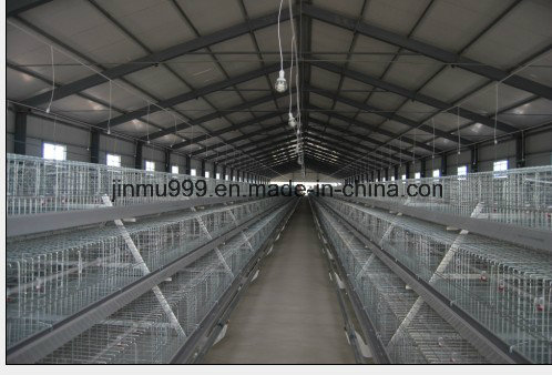 a Type Poultry Equipment Chicken Cage for Layer Broiler Pullet