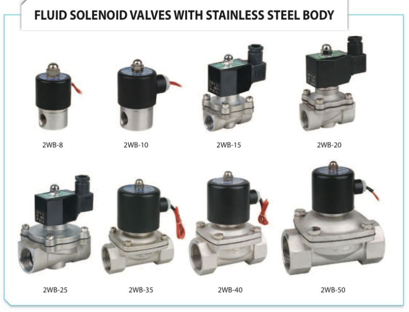 2wb Types Fluid Solenoid Valve with Stainless Steel Body 24V