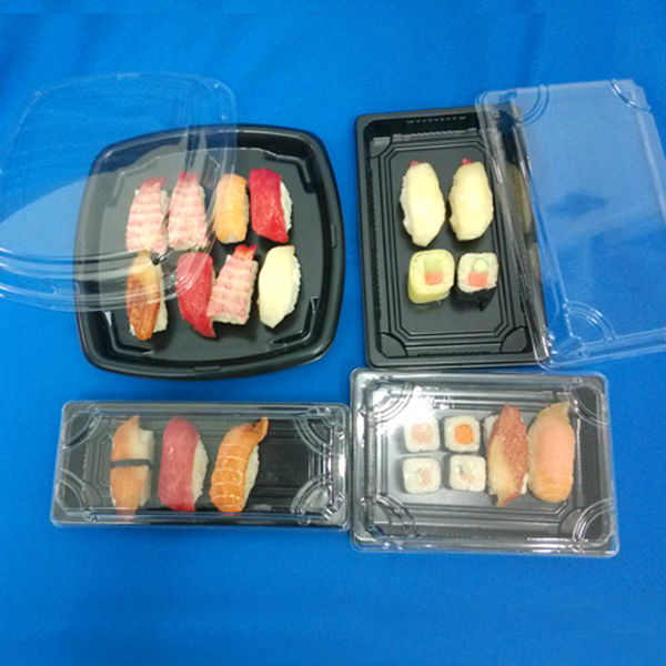 Transparent Plastic Packaging Box for Food Storage