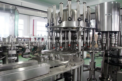 Complete Water Production Line (CGF)