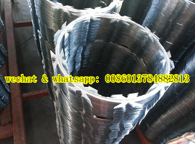 Factory of Razor Wire Cbt 60 (WITHOUT CLIPS)