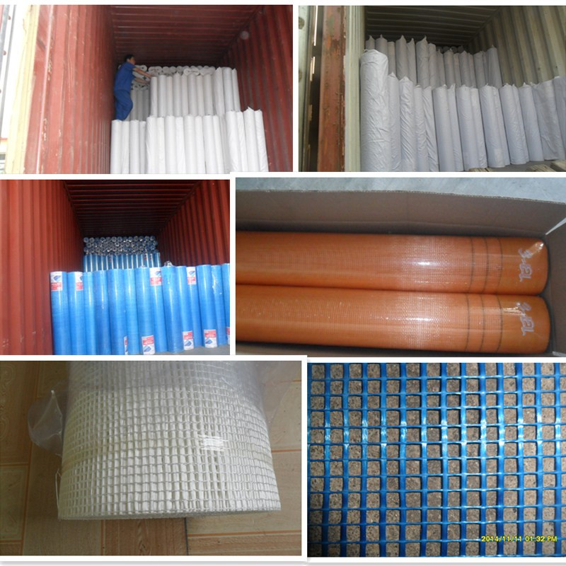 CE Passed Fiberglass Wire Mesh/Fiberglass Netting