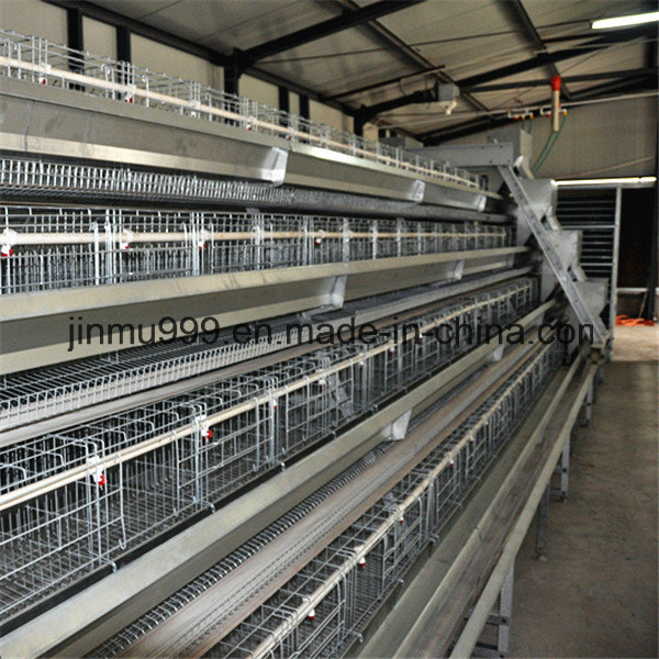 Electro Galvanized Poultry Egg Layer Chicken Cage