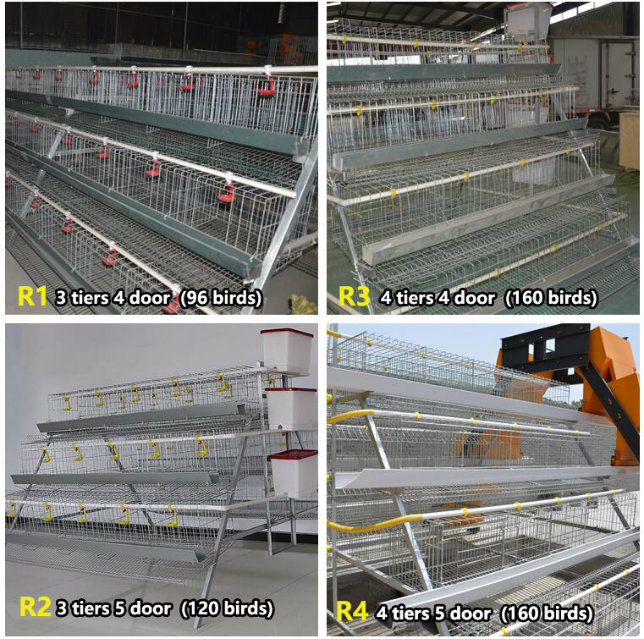 Hot Sale High Quality Chicken Cage or Bird Cage From China Factory for Chickens