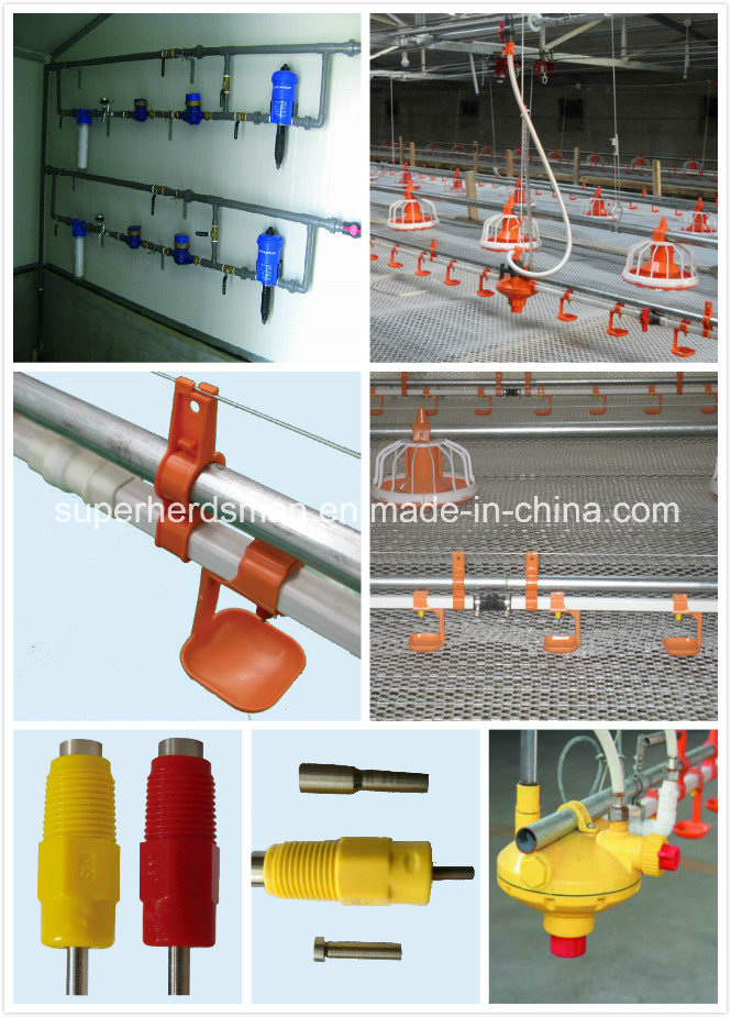 Poultry Farm Water Equipment for Chickens