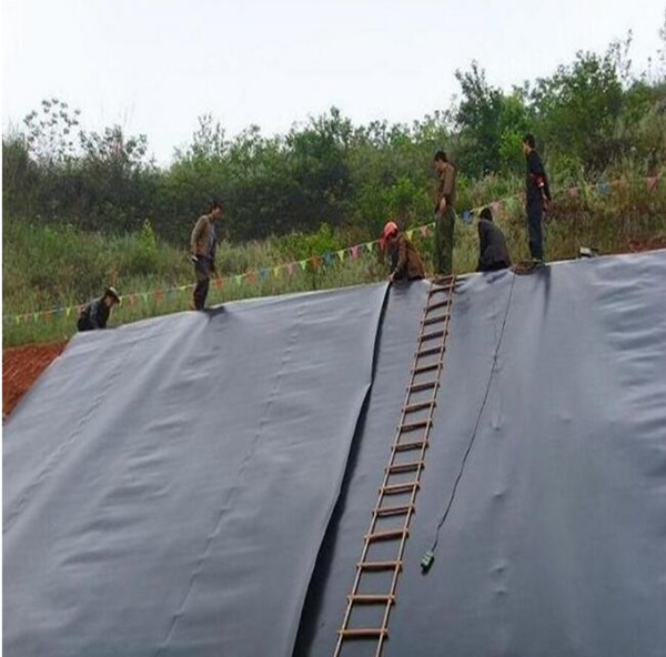 HDPE Plastic Geomembrane for Municipal Engineering