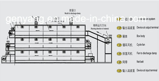 High Efficient Belt Tunnel Type Sliced Fruit and Vegetable Drying Machine