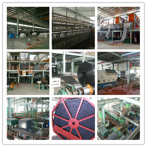 Steel Wire Rope Traction Flame-Retardant Conveyor Belt