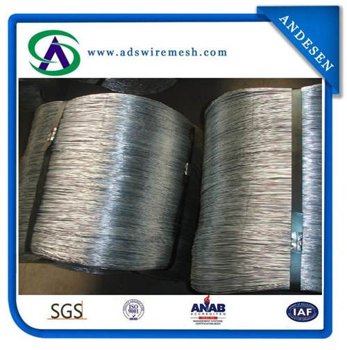 Professional Produce Electro/Hot-Dipped Galvanzied Iron Wire