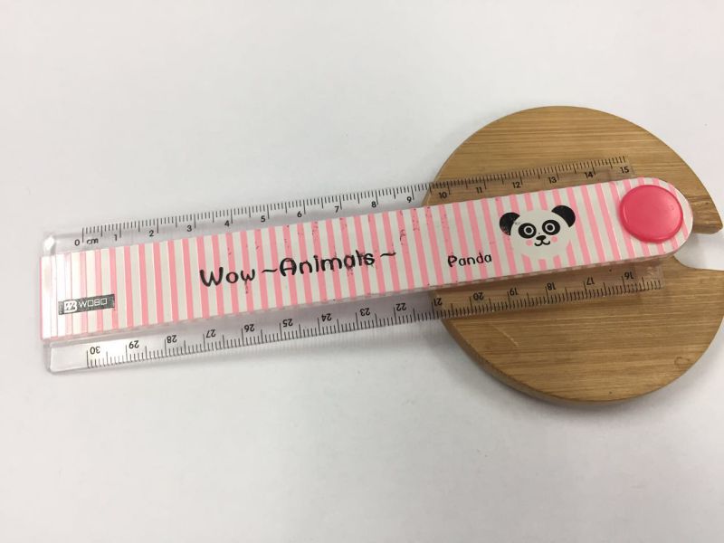 Plastic Color Ruler for School Stationery New