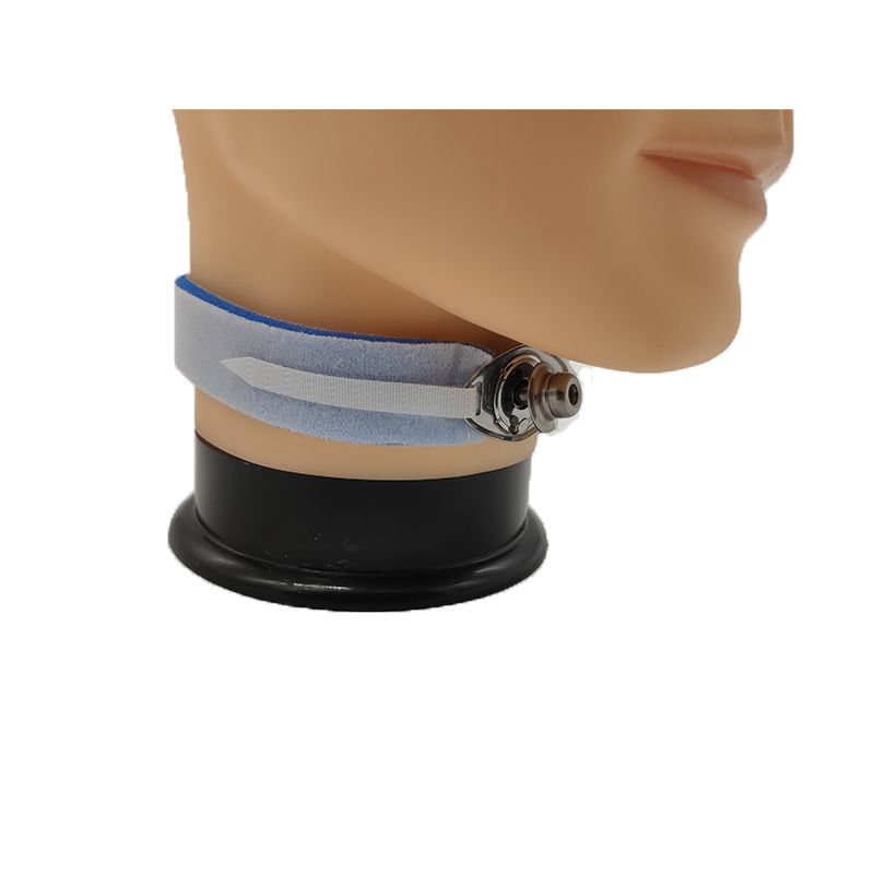 endotracheal/tracheostomy tube holder