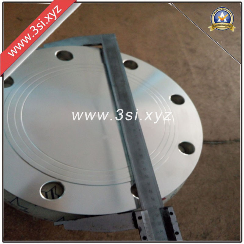 Quality Forged Stainless Steel Welding Neck Flange (YZF-E383)