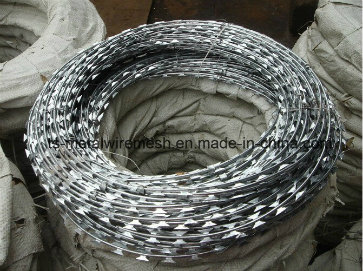 Tianshun Hot Dipped Galvanized Razor Barbed Wire