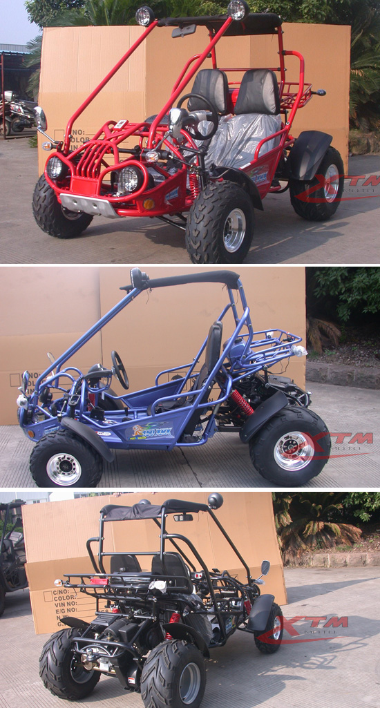 2seats 150cc Hammerhead Gas Dune Buggy off Road Go Kart