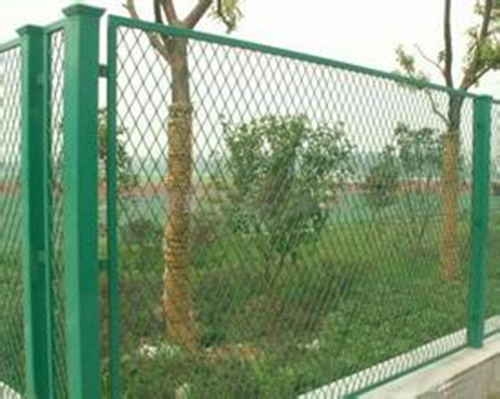 Professional Supplier of Chain Link Fence