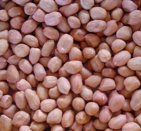 2015 New Crop Red Skin Peanut Kernels