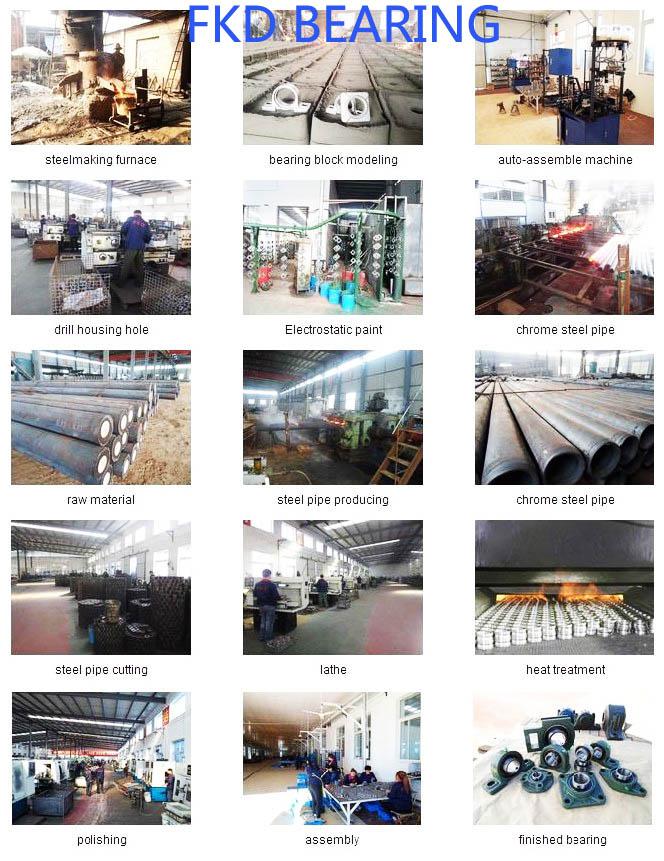 Industrial Bearing, Pedestal Bearing, Pillow Blocks (UCFC204 UCFC204-12)