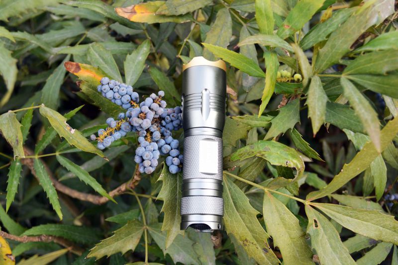 1W Adjustable High Focus Zoomable LED Flashlight with CREE LED