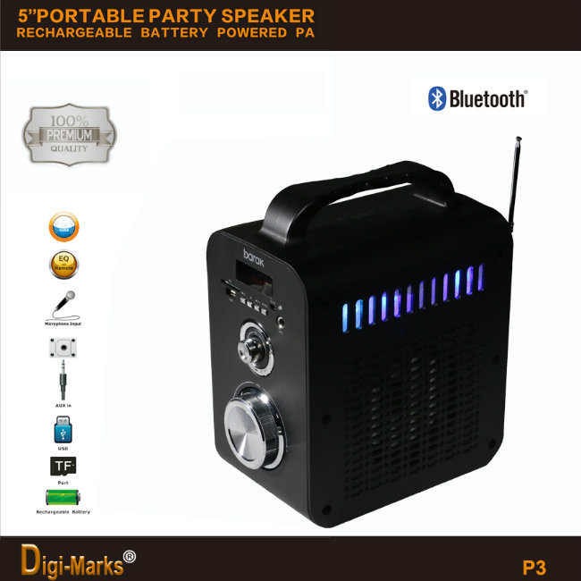 Mobile Portable Wireless USB FM Mini Bluetooth Multimedia Active Speaker