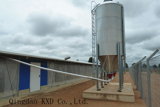 Prefabricated Poultry House/Chicken House (KXD-PCH5)