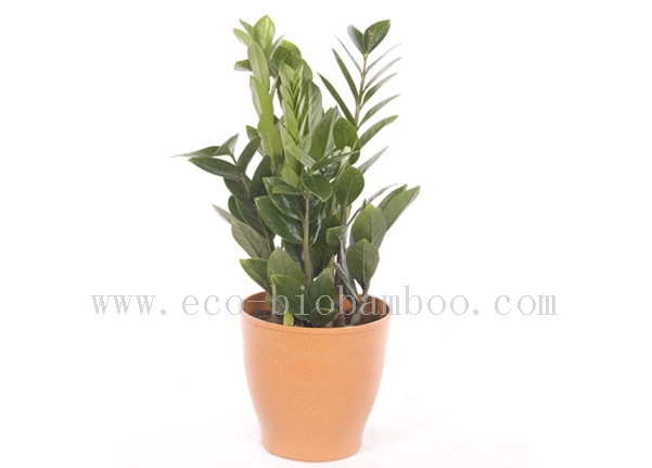 Bamboo Fiber Flower Pot (BC-F1002)