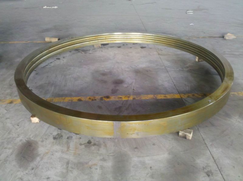 Outer Rings for Pitch Bearings