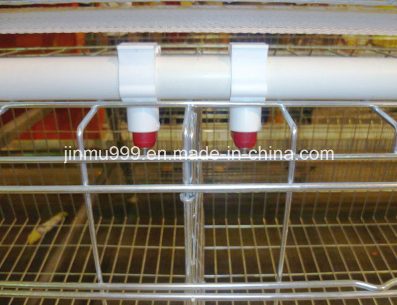 Automatic Poultry Equipment Chicken Frame Cage on Sell (JFA90)