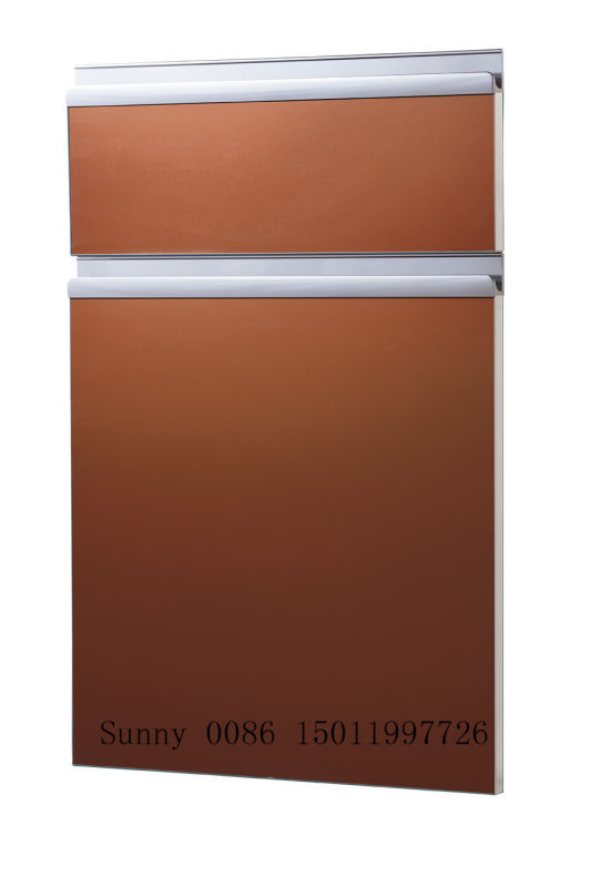 Zh UV Kitchen Cabinet Doors with Handles (customized)