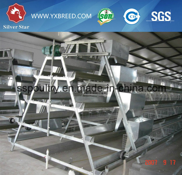 Best Sell Battery Layer Chicken Cages