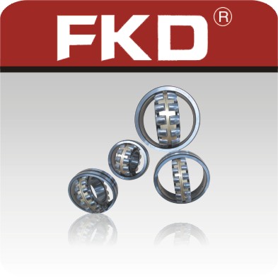 Cylindrical Roller Bearing Fkd