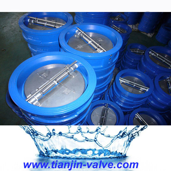 Tilting Disc Check Valve