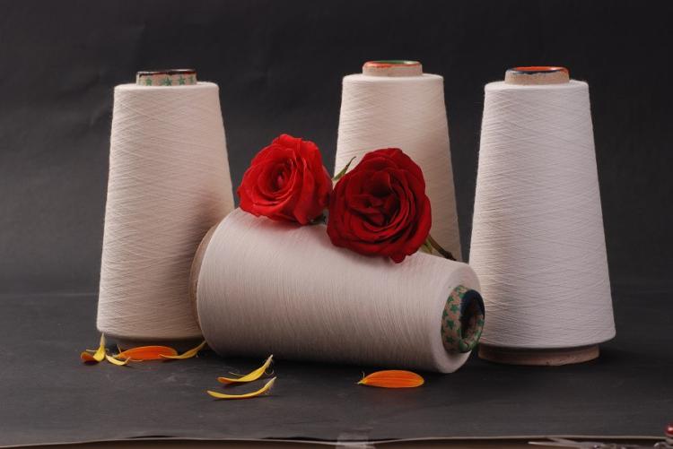 50% Cotton 50% Modal Compact 40s Knitting Yarn