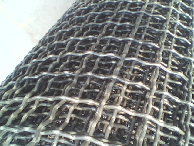 Crimped Stainless Steel Wire Mesh