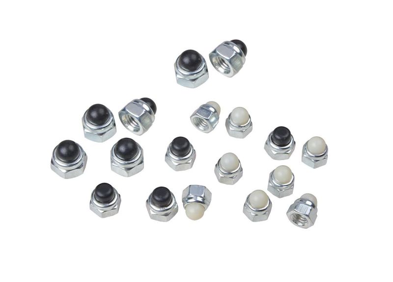 Carbon Steel Stainless Steel Nylon Cap Nut (CZ005)