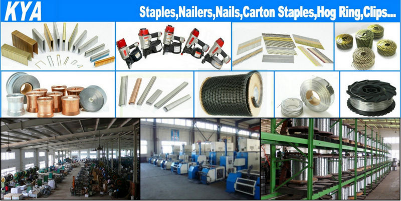 Pneumatic Concial Coil Nails for Packaging, Roofing, Fencing