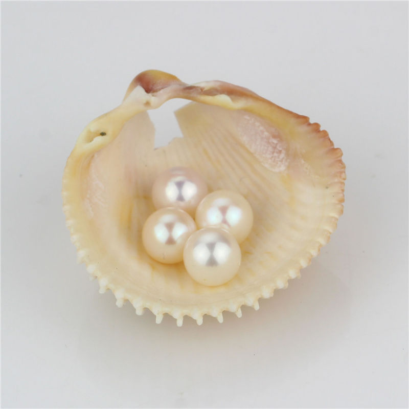 Snh 7.5-8mm White Real Freshwater Loose Pearls Wholesale