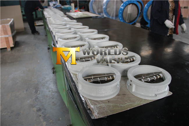 Ductile Iron Wafer Type Check Valve